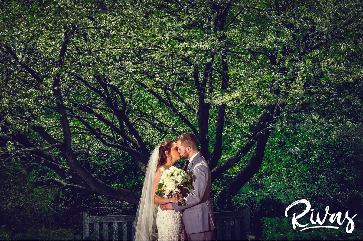 Loose Park Wedding Picture Sneak Peek | Kansas City Wedding Photographers | A photo of a bride and groom embracing and sharing a kiss while standing underneath a tree with white buds at Kansas City's Loose Park on their wedding day. 