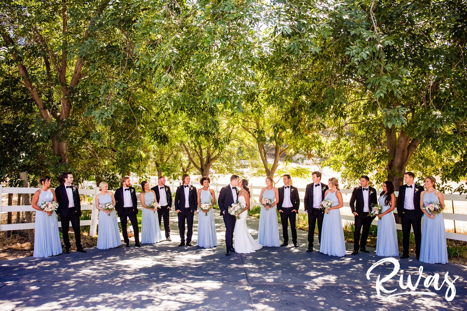 Saddlerock Ranch Summer Wedding | Destination Wedding Photographers | Rivas | A formal portrait of a wedding party dressed in light blue dresses and black tuxedos in the tree-lined driveway at Saddlerock Ranch in Malibu. 