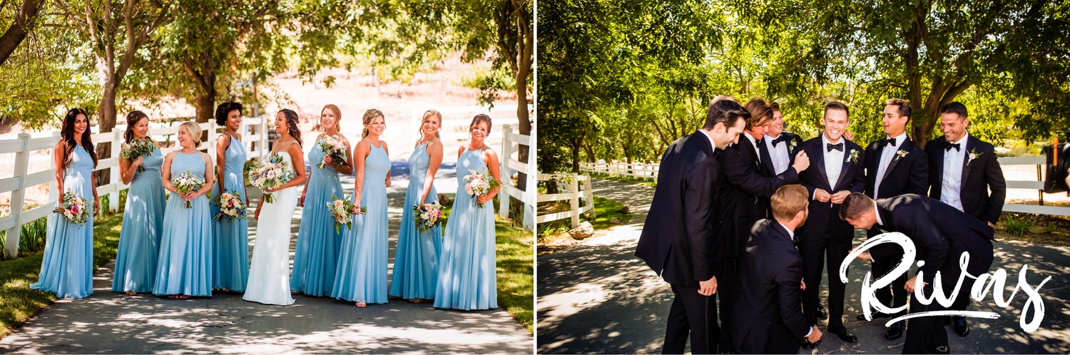 Saddlerock Ranch Summer Wedding | Destination Wedding Photographers | Rivas | Two candid pictures of a bride and her bridesmaids and a groom and his groomsmen in the tree-lined driveway at Saddlerock Ranch in Malibu. 