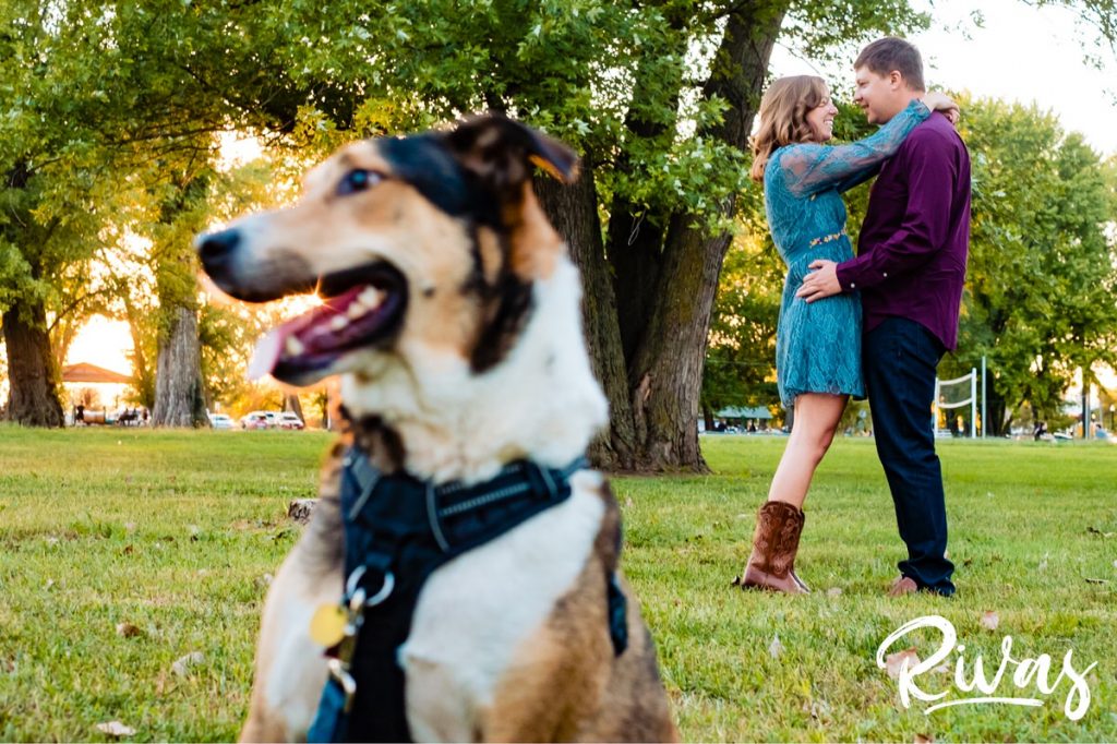 West Bottoms Engagement Pictures | A picture of an engaged couple holding hands in the background as their dog plays with his tennis ball in the foreground. 