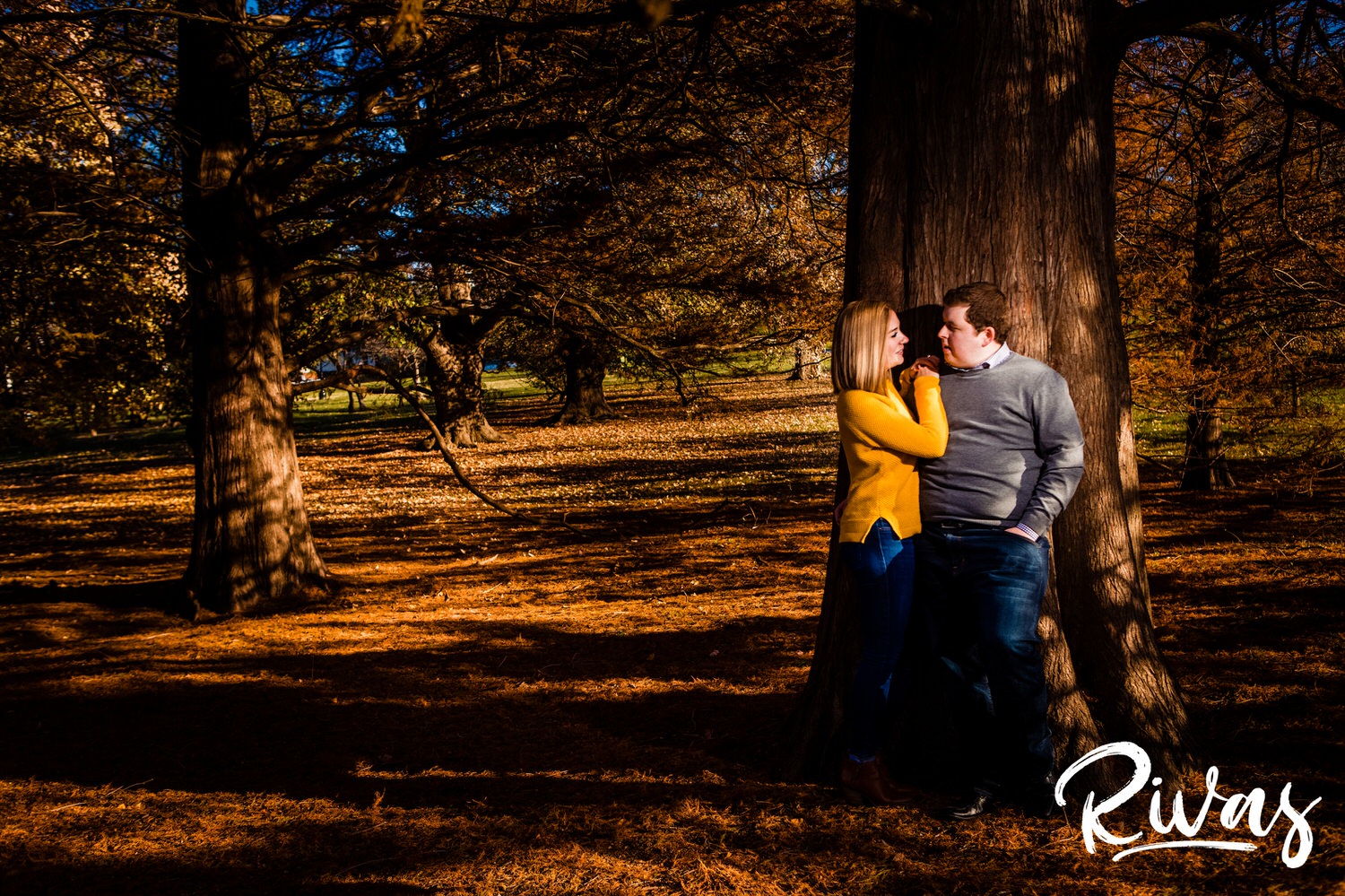 A portrait of an engaged couple leaning against the large tree trunk of a pine tree as they laugh and talk together during their engagement session at Kansas City's Loose Park. 