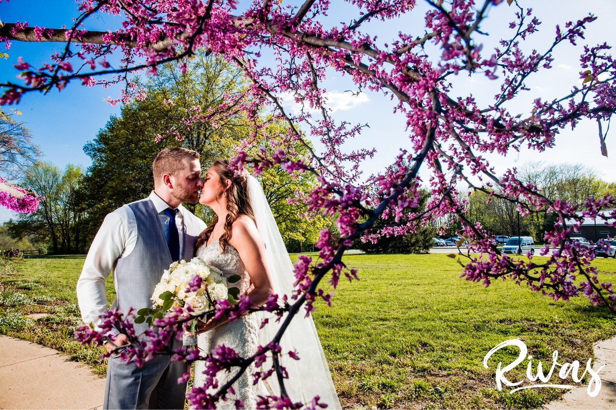White and Navy Spring Wedding | Kansas City Wedding Photographers | A photo of a bride and groom embracing and sharing a kiss on their wedding day as the stand intertwined in a branch covered with purple buds at Shawnee Mission Park.