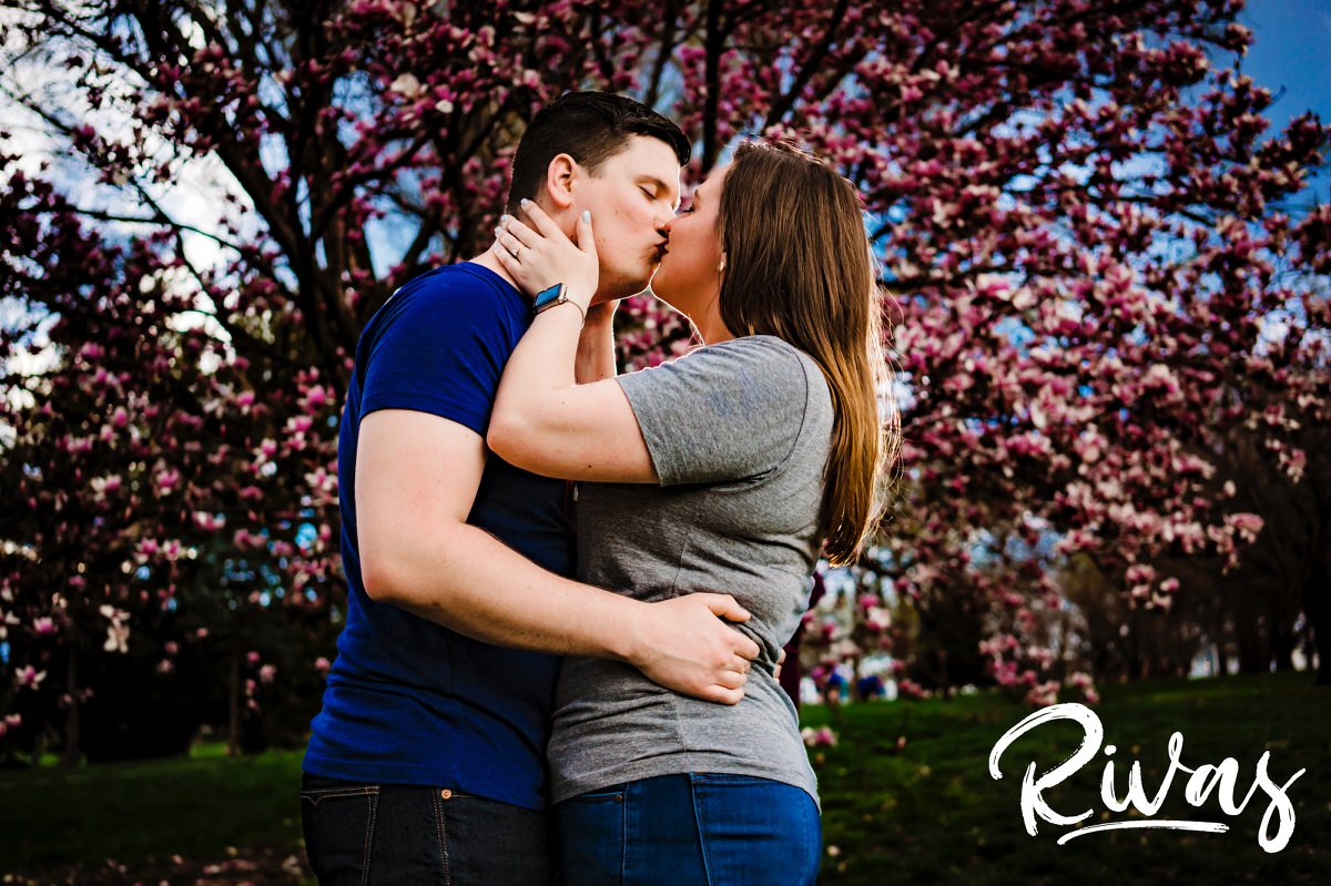 A vibrant picture of an engaged couple sharing a kiss as they stand in front of a tree in Kansas City's Loose park with colorful pink buds during their engagement session. 