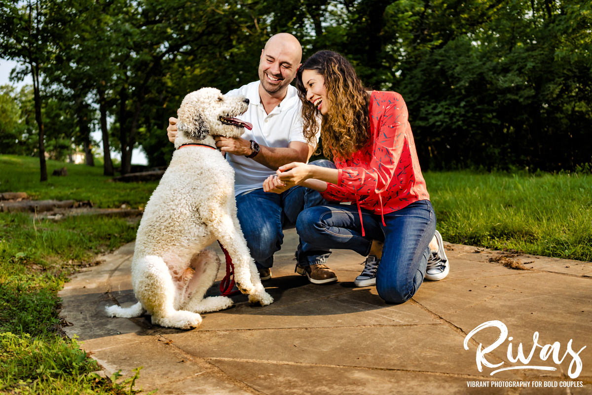 A candid picture of an engaged couple bending down to laugh and play with their dog during their vibrant summer session at Swope Park in Kansas City.