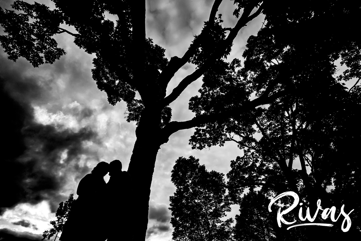 A dramatic, black and white picture of an engaged couple standing at the bottom of a tree on location during their engagement session in Kansas City, 