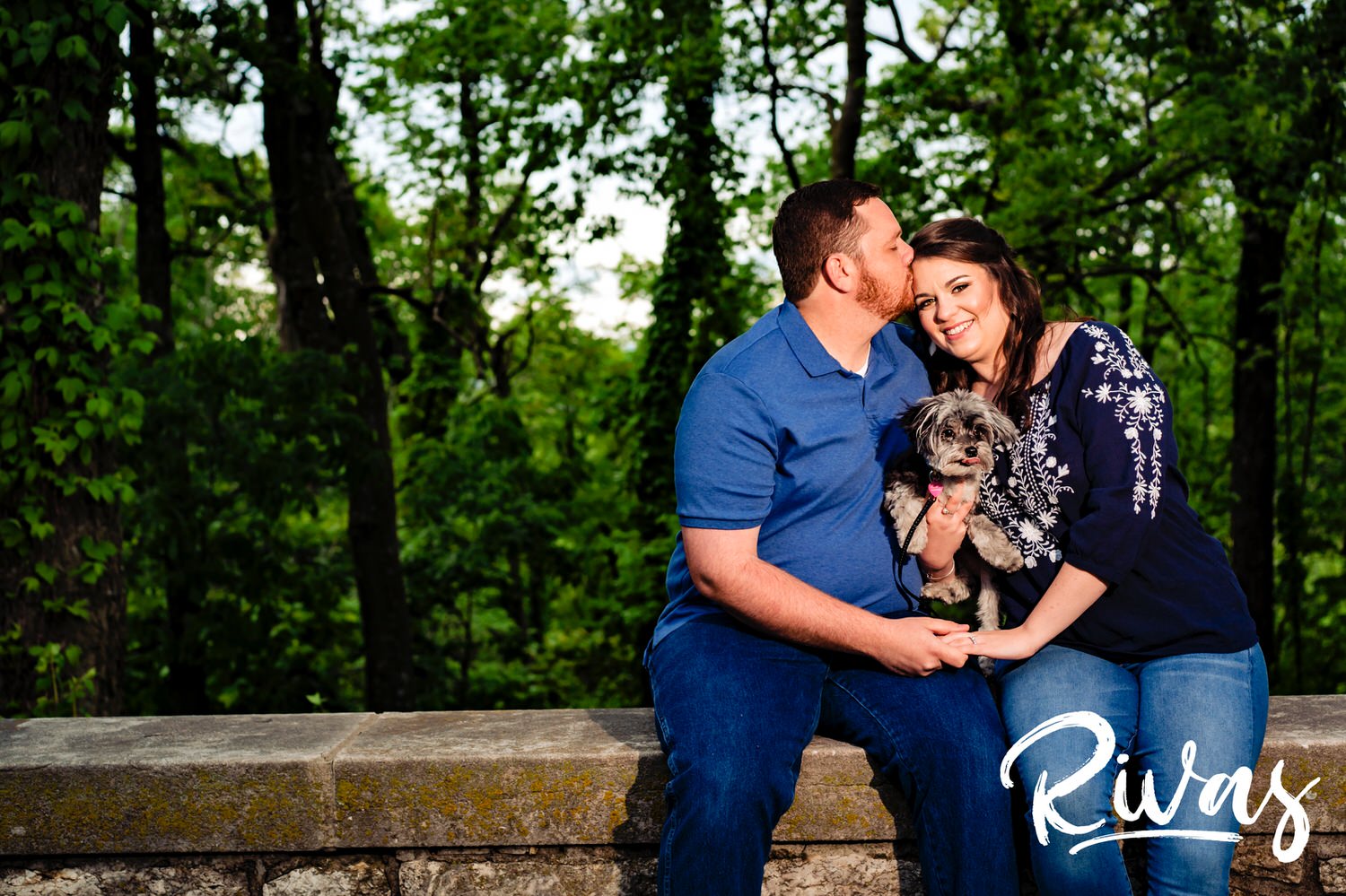 A candid picture of an engaged couple sharing a kiss and playing with their puppy during their Kansas City engagement session. 