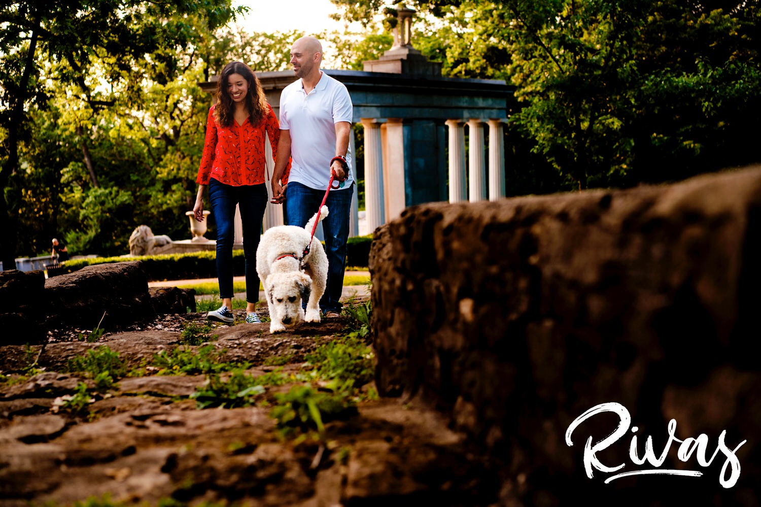 A candid picture of an engaged couple walking their white poodle up a stone covered walkway during their engagement session. 