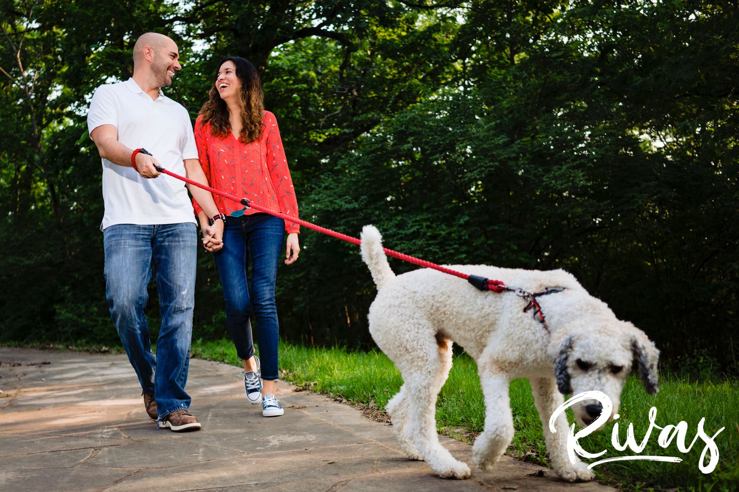 A colorful, candid picture of an engaged couple walking their white poodle down a shady path during their engagement session. 