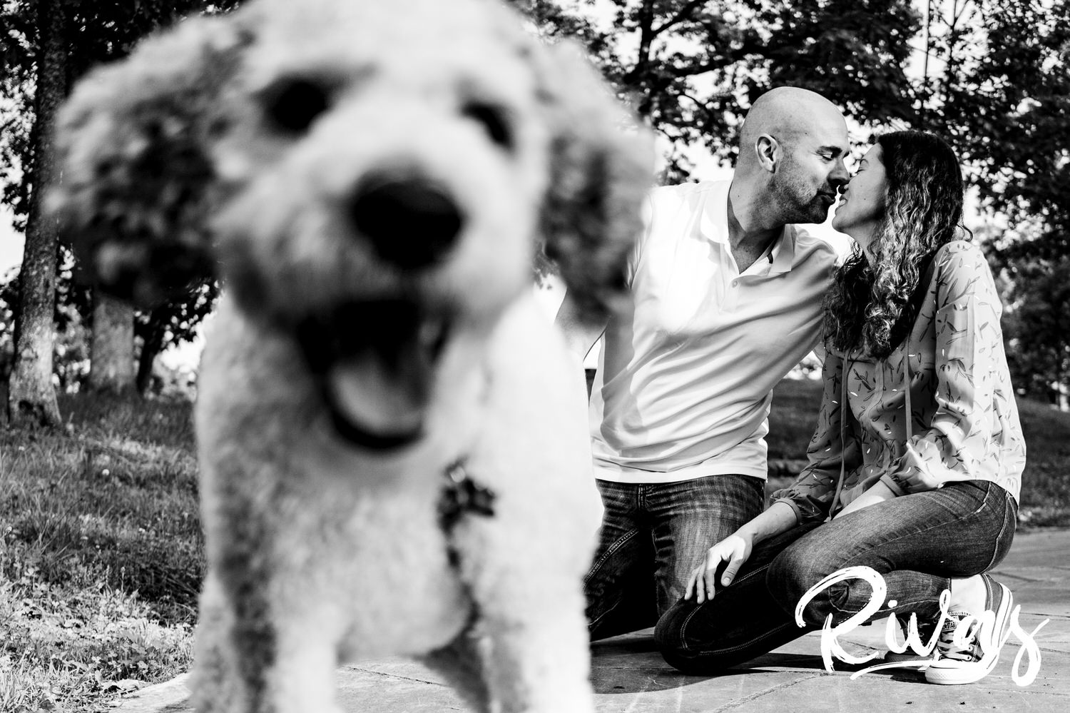 A candid black and white picture of a white poodle trying to lick the camera as his owners kiss in the background during their KC engagement session. 