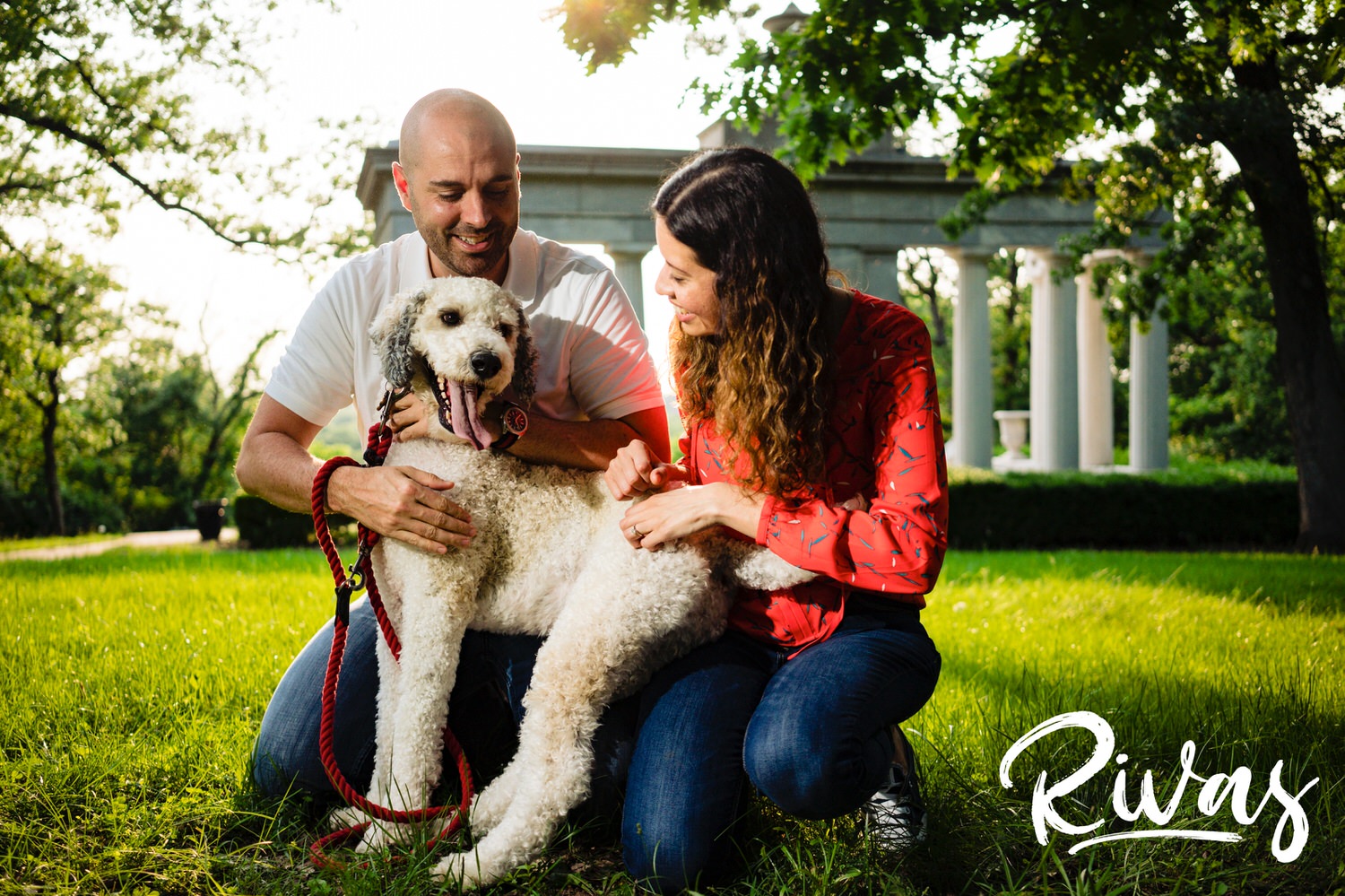 A portrait of an engaged couple and their white poodle kneeling on the grass in the shade during their summer engagement session in Kansas City. 