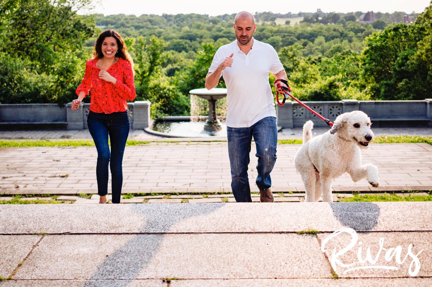 A candid picture of an engaged couple running up a few stone stairs with their white poodle during their engagement session. 