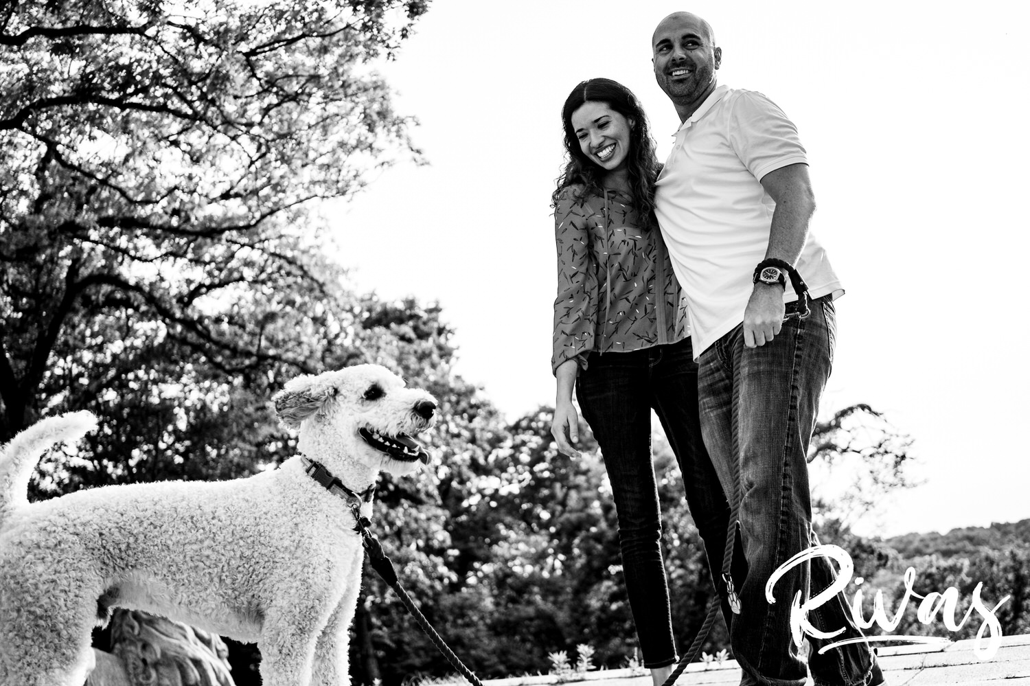 A candid, black and white picture of an engaged couple laughing and looking down at their white poodle during their engagement session. 