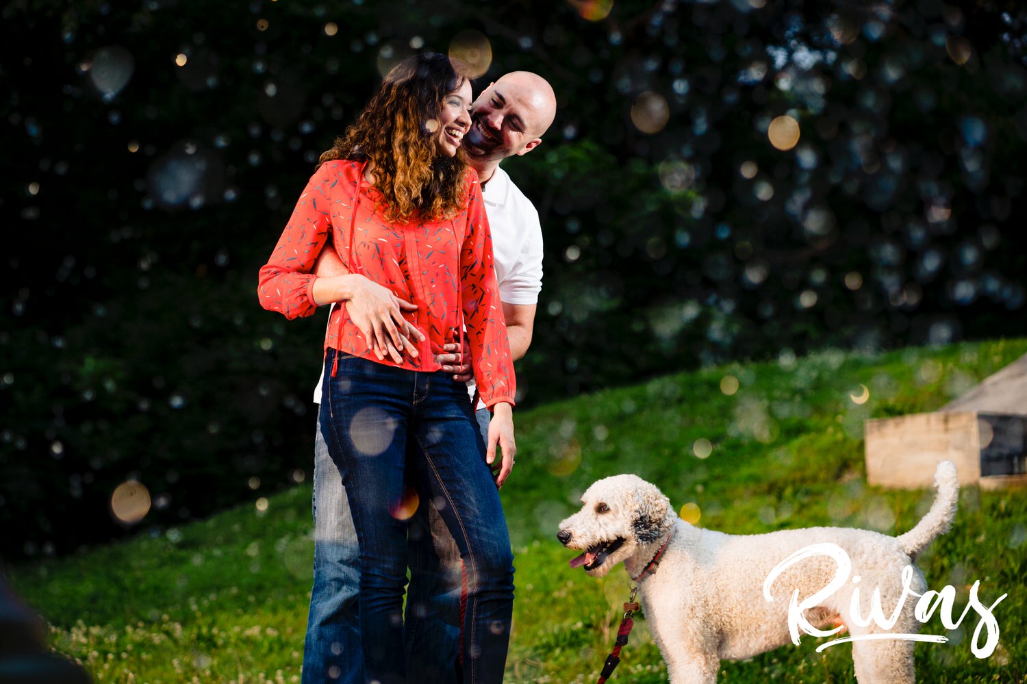 A silly, colorful picture of an engaged couple sharing a laugh and embrace as they look down at their white poodle at their feet during their engagement session. 