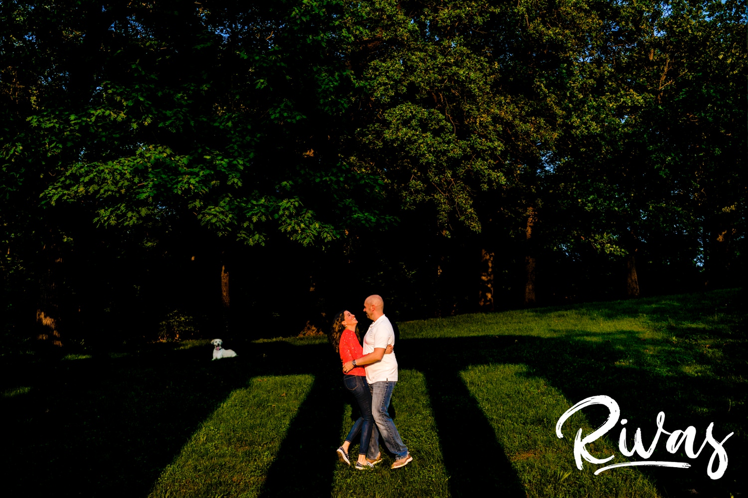 A wide portrait of an engaged couple dancing in between columns of shadows and sunlight as their white poodle looks on from the background during their engagement session. 