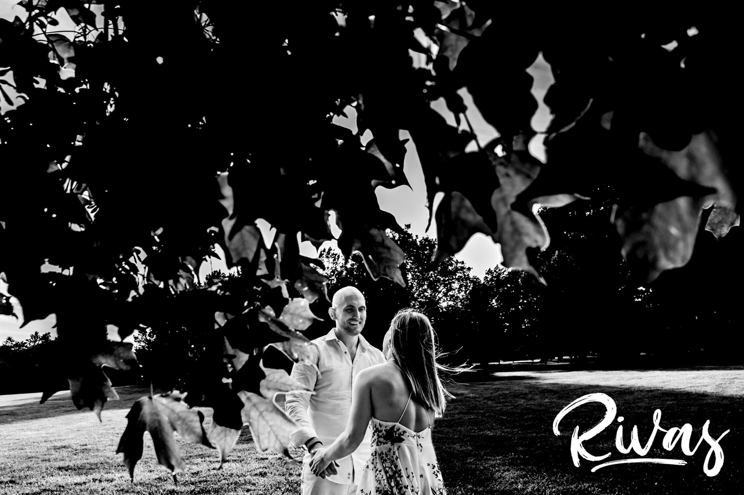 A candid, black and white picture taken through tree leaves of an engaged man staring lovingly at his fiance during their engagement session at Kansas City's Loose Park. 