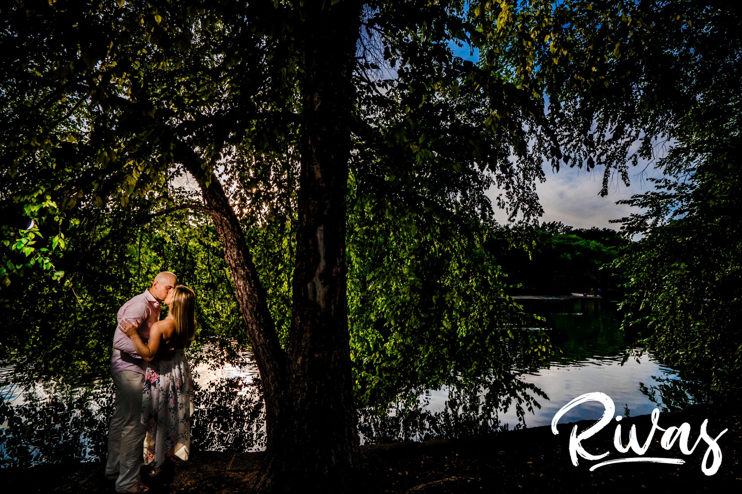 A dramatic portrait of an engaged couple sharing an embrace and kiss as they stand underneath the drooping branches of a tree near the pond at Loose Park in Kansas City. 