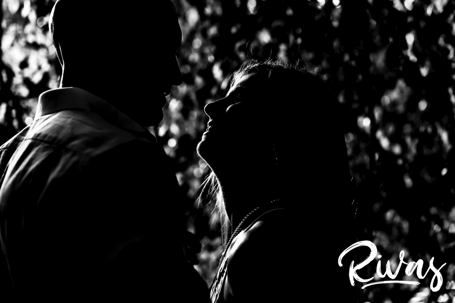 A close up, romantic, black and white picture of an engaged couple staring lovingly at each other during their engagement session at Loose Park in Kansas City. 