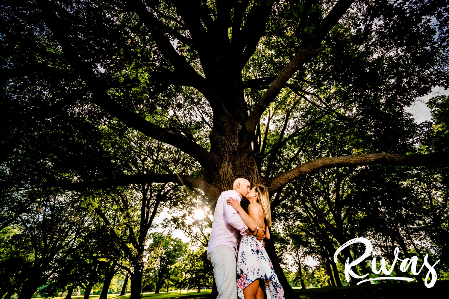 A warm, sunny portrait of an engaged couple standing underneath a tree's massive canopy of green leaves during their engagement session at Loose Park. 