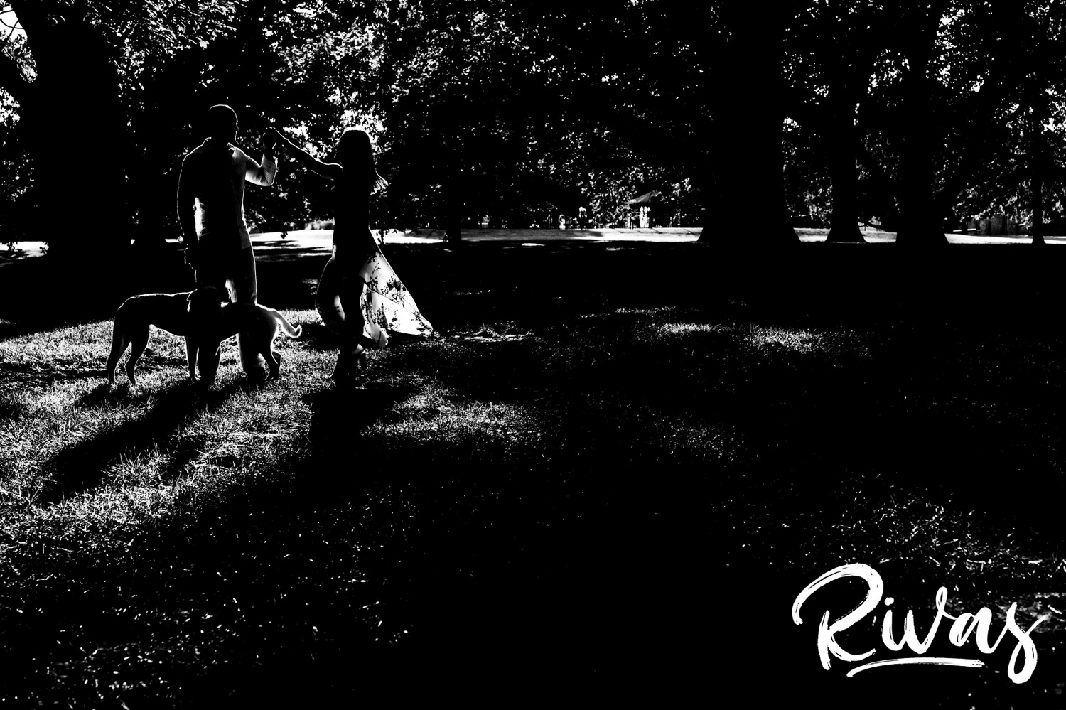 A dramatic, black and white, candid picture of a man twirling a woman underneath his arm in a splash of sunlight in an otherwise dark image during their engagement session at Loose Park. 