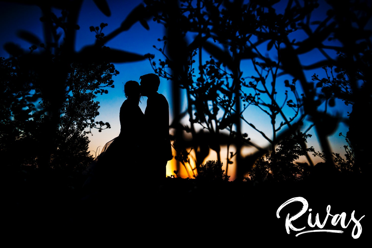 A vibrant portrait taken through some flowering bushes of a groom kissing his bride on the cheek at sunset just before their wedding reception at The Museum at Prairiefire in Kansas City. 