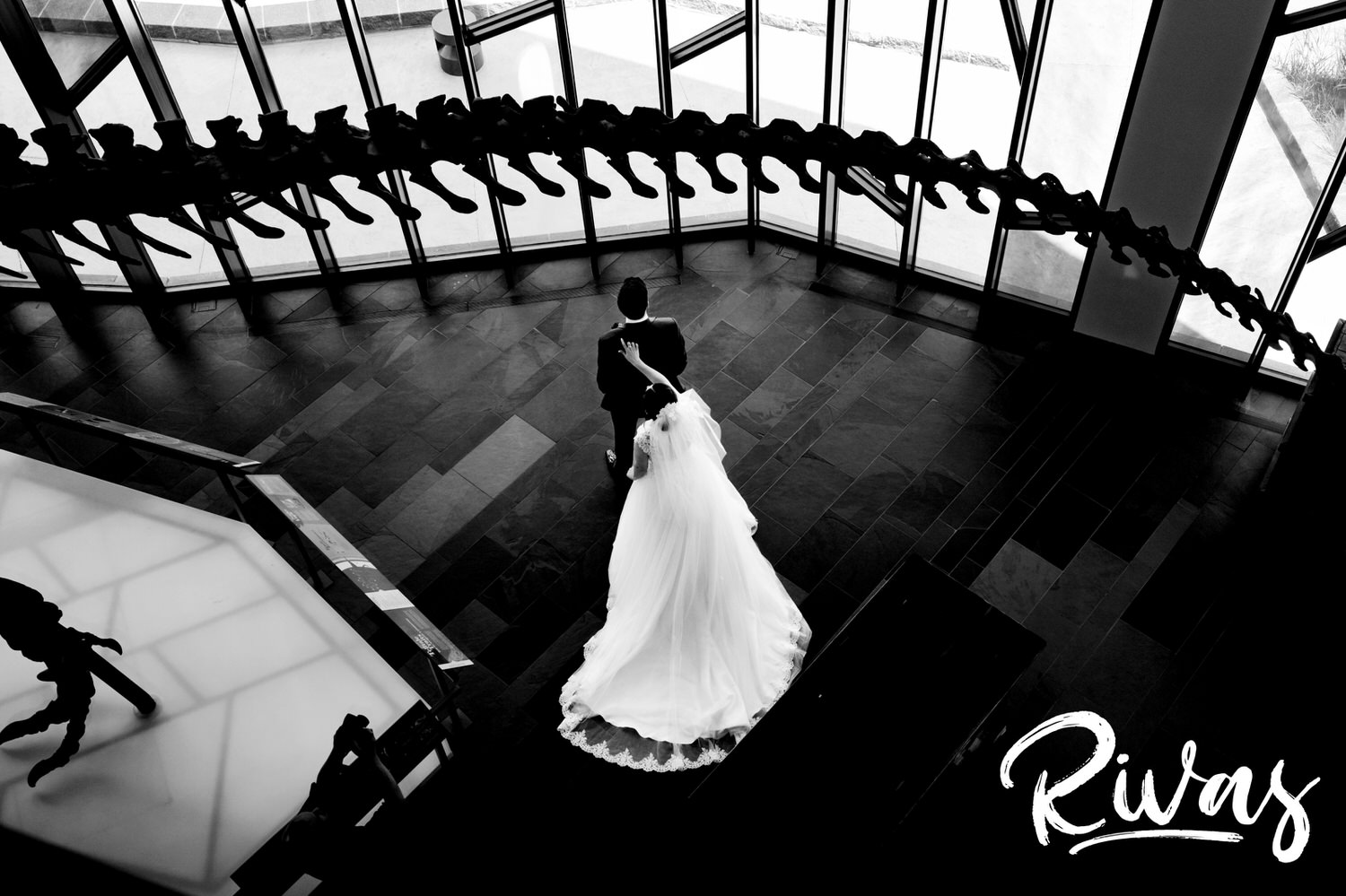 A dramatic, black and white picture taken from above of a bride walking up behind a groom for their first look, directly under the tail of a t-rex skeleton at the Museum at Prairiefire on their summer wedding day. 