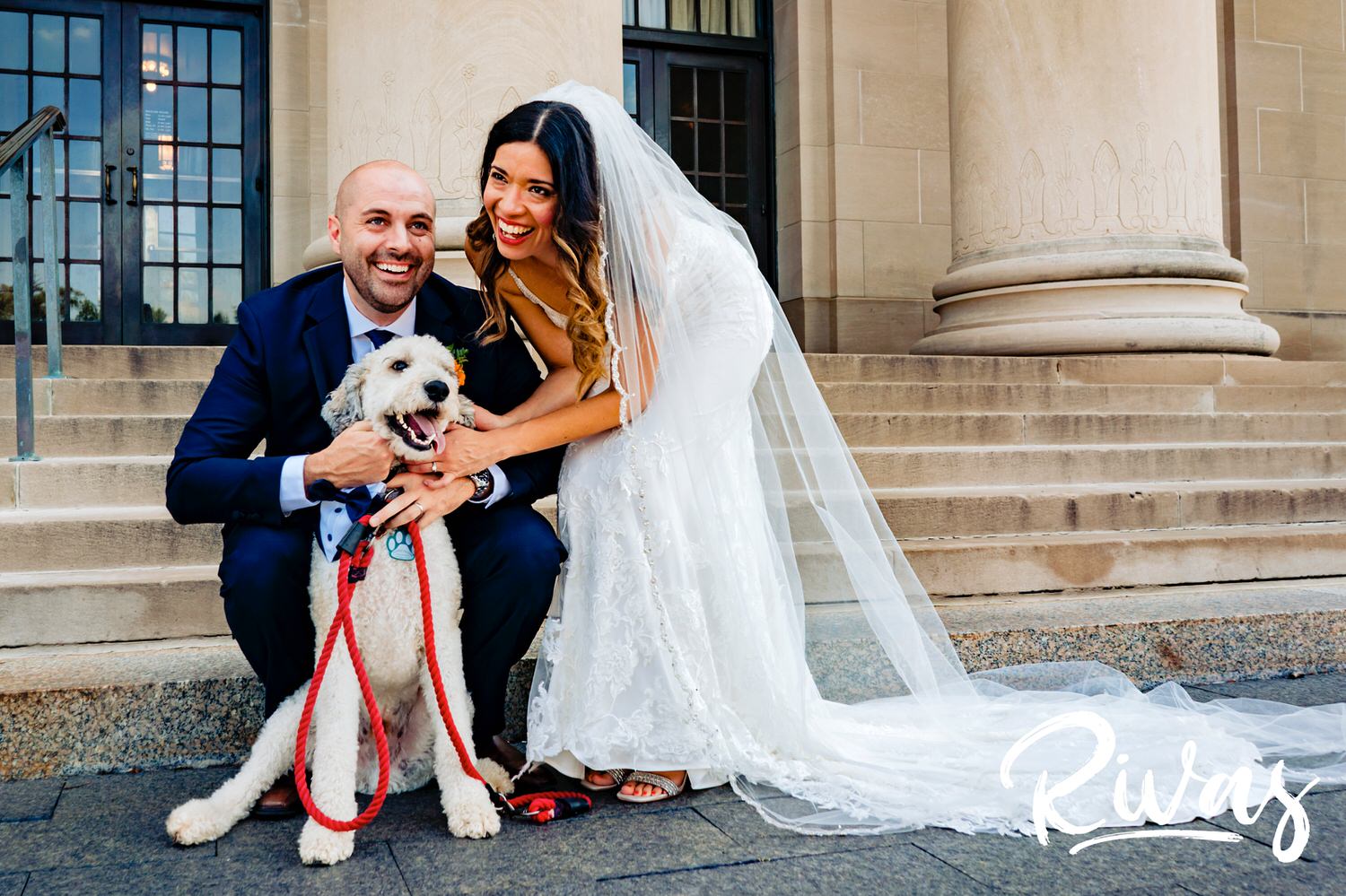 A vibrant, candid picture of a bride and groom loving on their poodle on the steps of The Nelson Atkins Museum of Art in Kansas City on their wedding day.