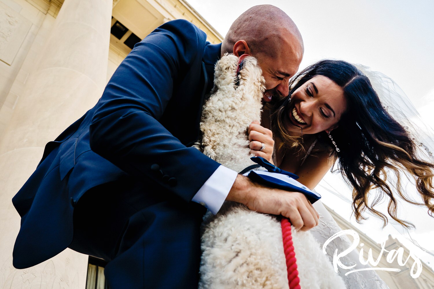 A candid black and white picture of a bride and groom bending down to love and pet their poodle on the afternoon of their Kansas City wedding. 