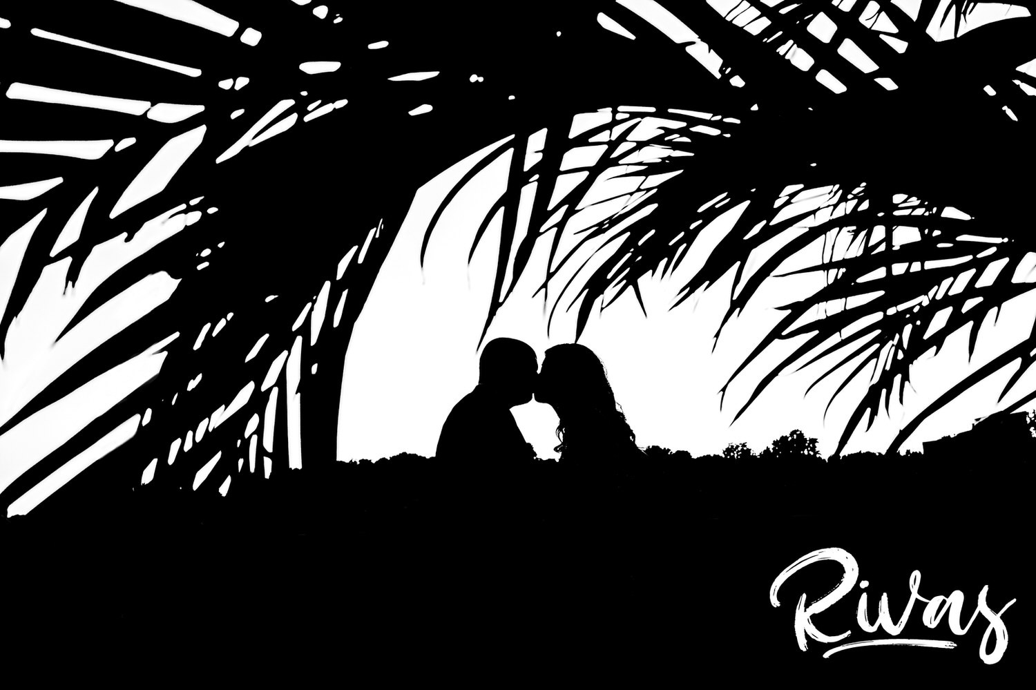 A dramatic, black and white picture of a bride and groom leaning in for a kiss as a palm frond arches over them during their wedding reception in Kansas City. 