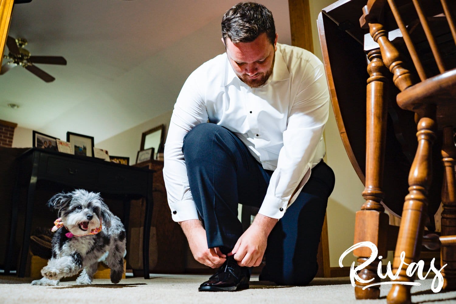 A candid picture of a groom bending down to tie his shoe as his dog runs in circles around him on the morning of his summer wedding at Lawrence Country Club. 