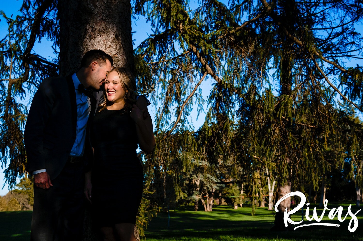 A bold, colorful picture of a man whispering into a woman's ear as they stand in a spot of sunlight underneath a giant Evergreen tree during their engagement session at Loose Park in Kansas City. 