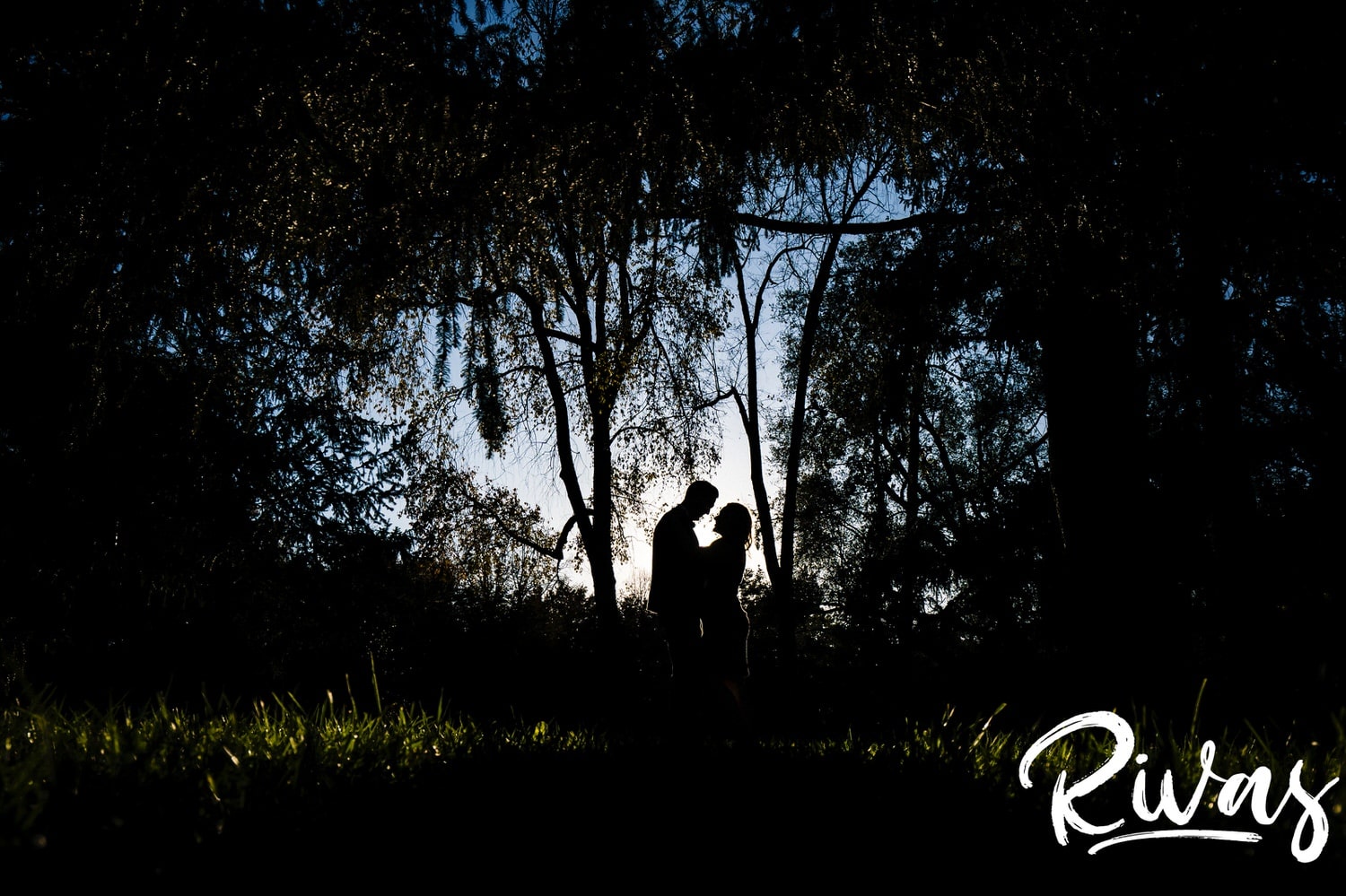 A dramatic, silhouetted portrait of an engaged couple sharing an embrace underneath a canopy of trees as the sun sets behind them at Kansas City's Loose Park as they have engagement pictures taken. 