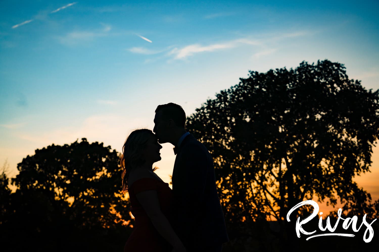 A colorful, silhouetted picture of a man kissing a woman on the forehead in between two giant trees as the sun sets behind them during their engagement session at The Scout in Kansas City. 