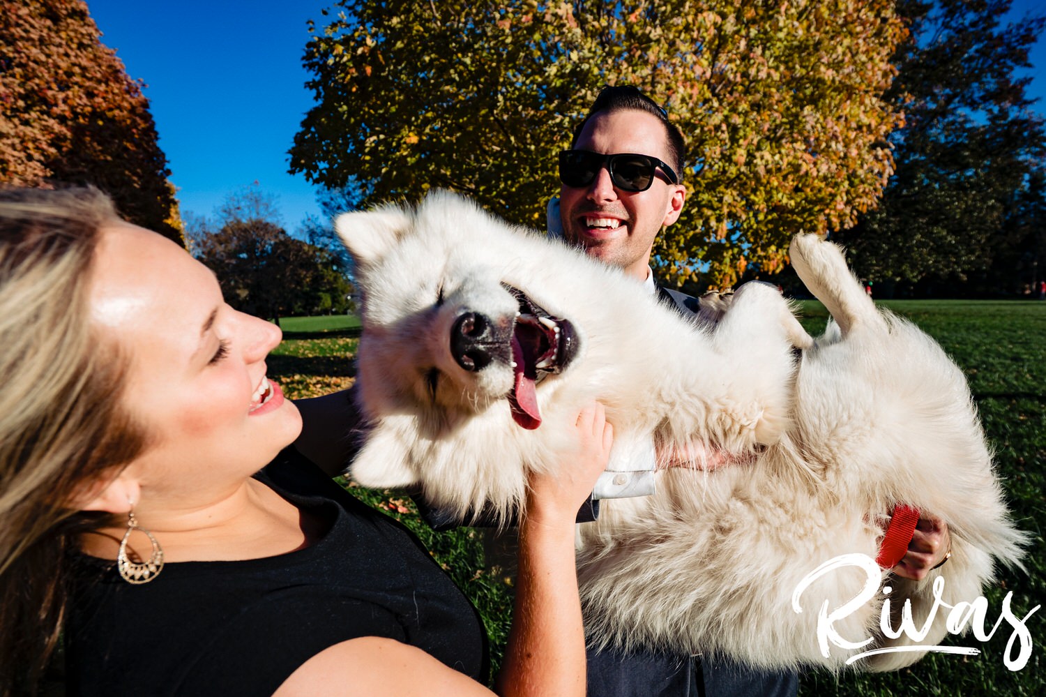 A candid picture of a man in a tuxedo and sunglasses holding a giant white dog in his arms as a woman leans in to scratch the dog. The dog's tongue is hanging out of his mouth sideways. 
