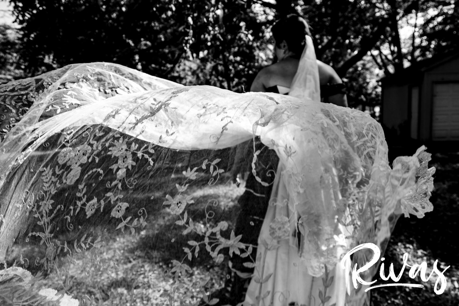 A candid black and white picture of a bride's Belgian Lace veil blowing in the wind on the day of her intimate backyard summer wedding day in Kansas City. 