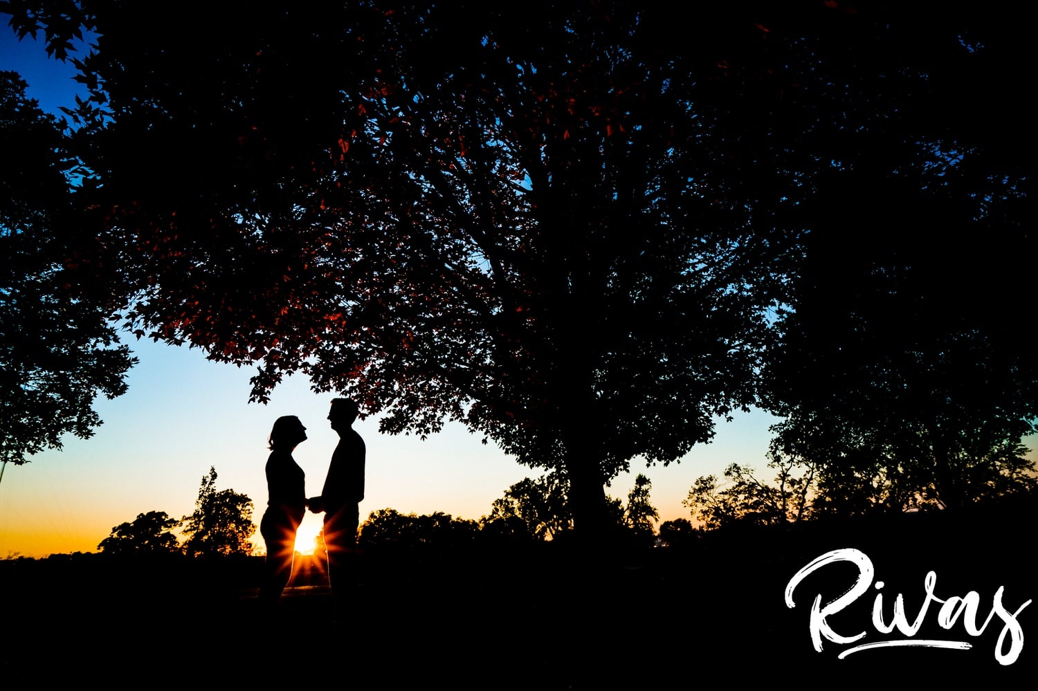 A colorful silhouetted photo of an engaged couple standing in front of the sunset underneath a canopy of vibrant trees at Liberty Memorial during their engagement session in Kansas City. 