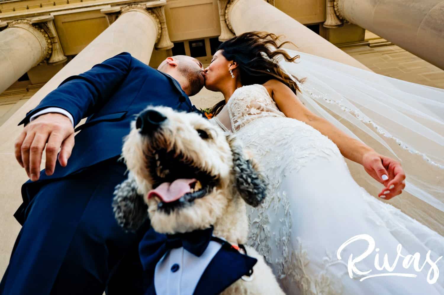 A candid portrait of a bride and groom leaning in to share a kiss as their dug in a tuxedo smiles at the camera.