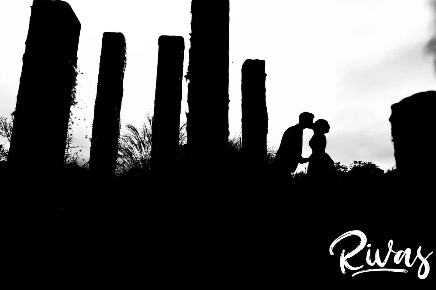 A bold black and white silhouetted image taken through some reeds of a bride and groom sharing a kiss on their rainy wedding day at The Bowery in Kansas City.