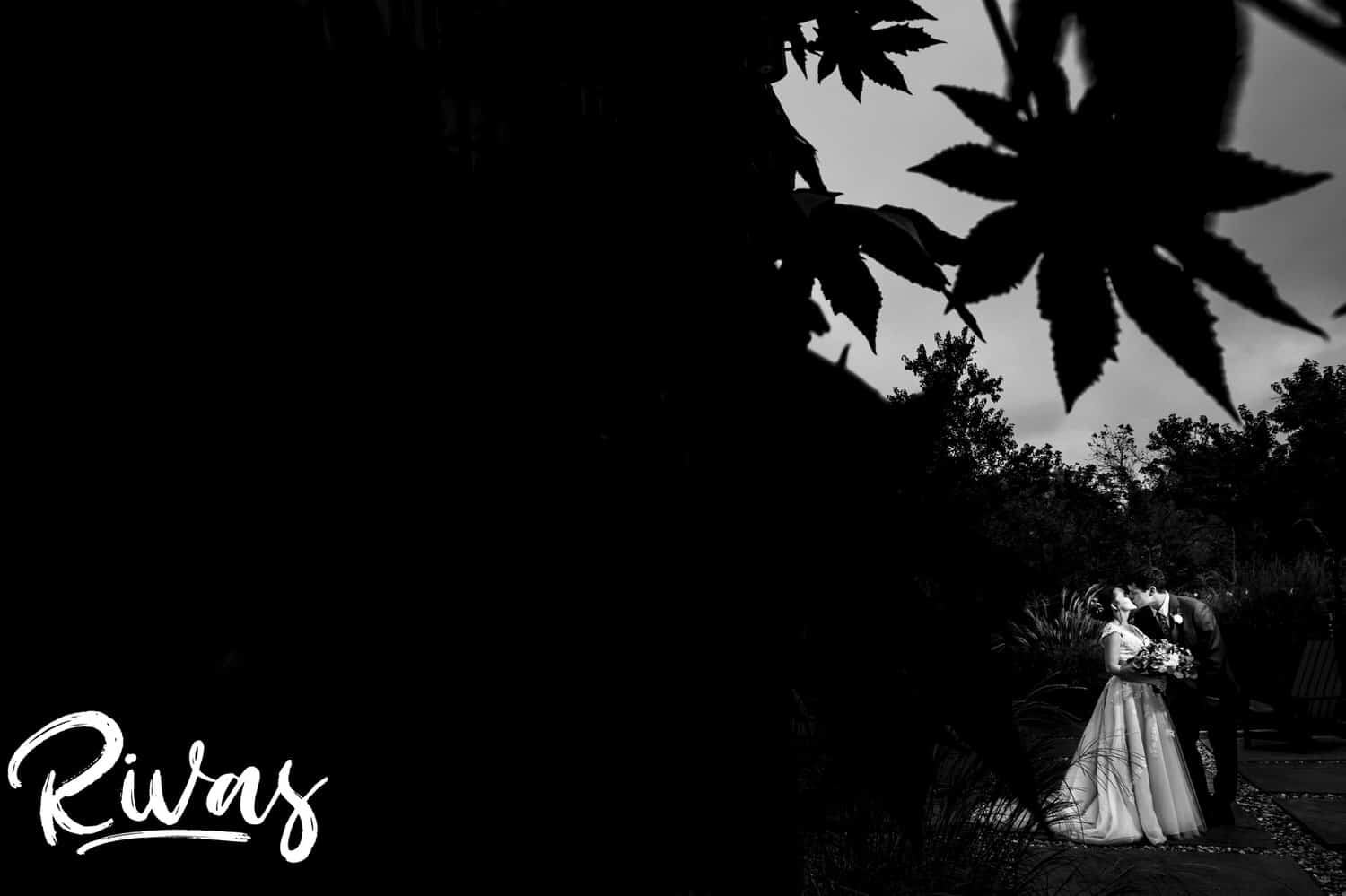 A dramatic black and white picture of a bride and groom sharing an embrace, perfectly framed underneath a leaf hanging down from a tree on the afternoon of their rainy wedding day at The Bowery. 