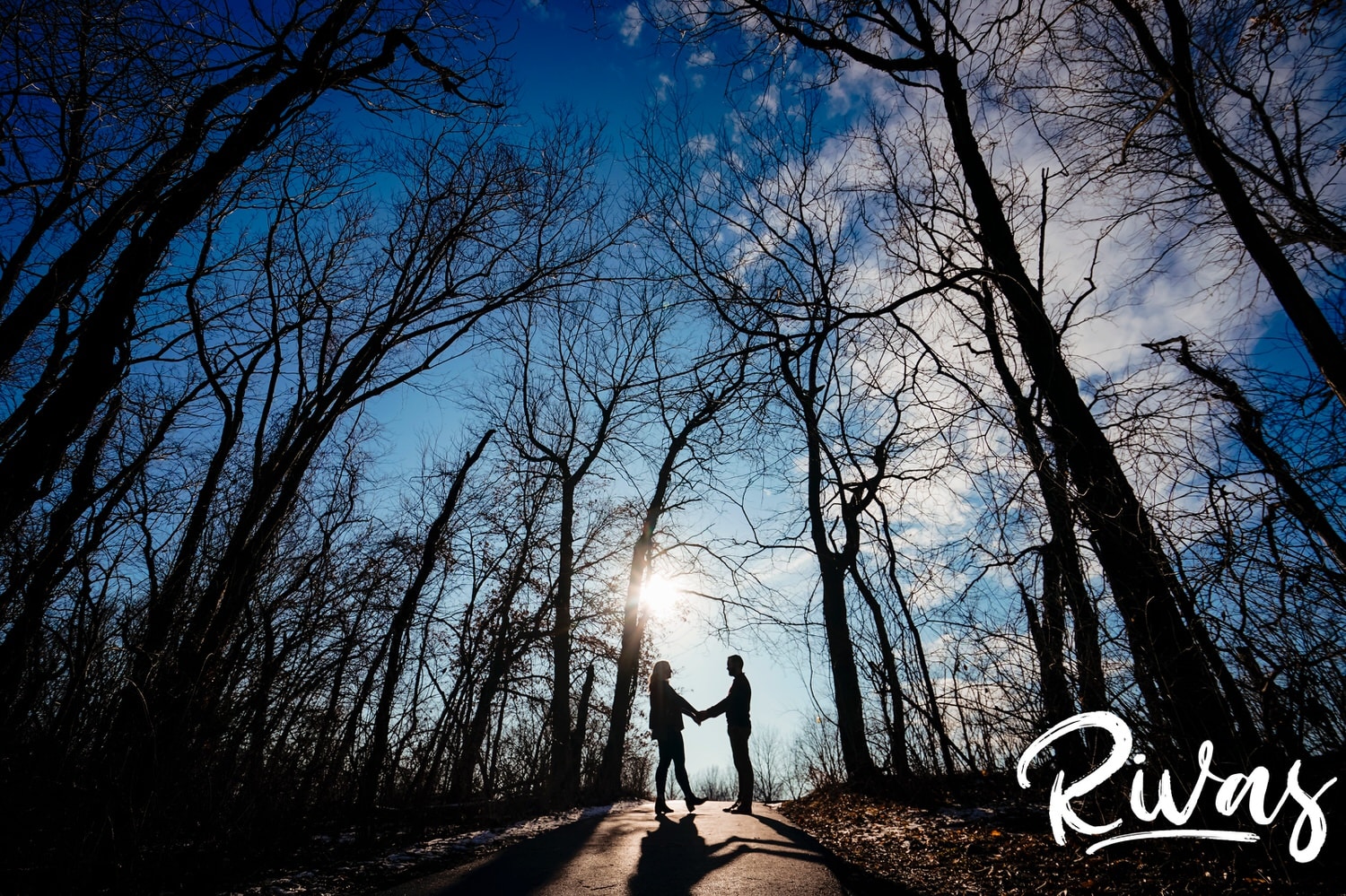 A wide silhouette picture of an engaged couple standing in a spot of sunlight shining through a forest during their vibrant engagement session in Kansas City. 