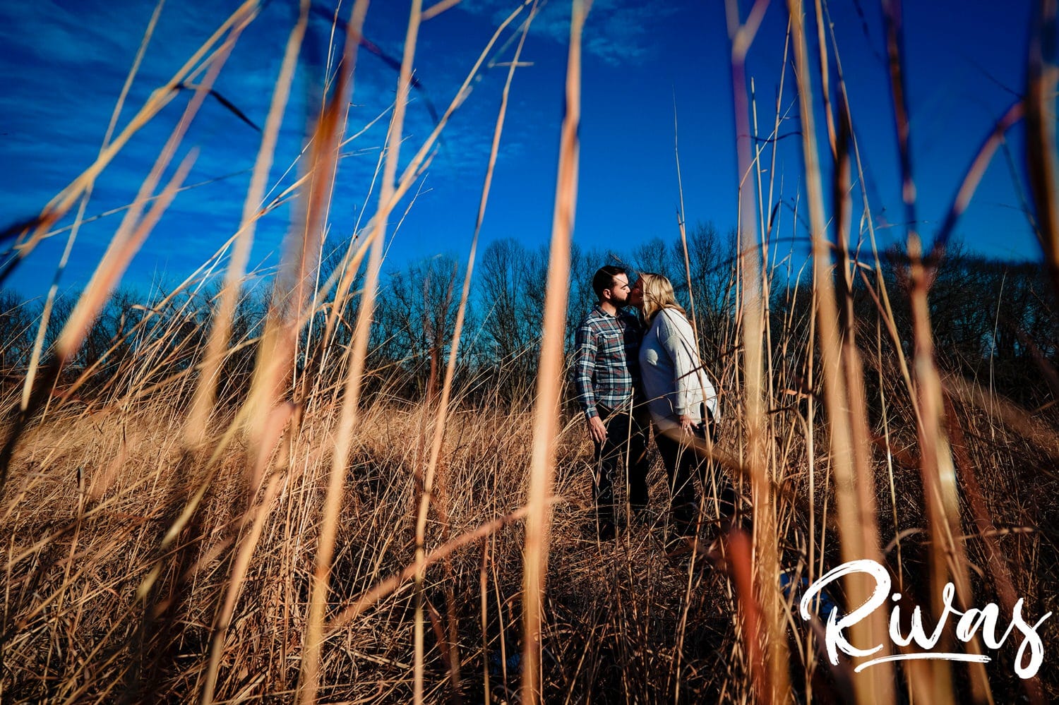 A wide, candid picture taken through tall grass of an engaged couple sharing an embrace and laughing together during their sunny winter engagement session. 