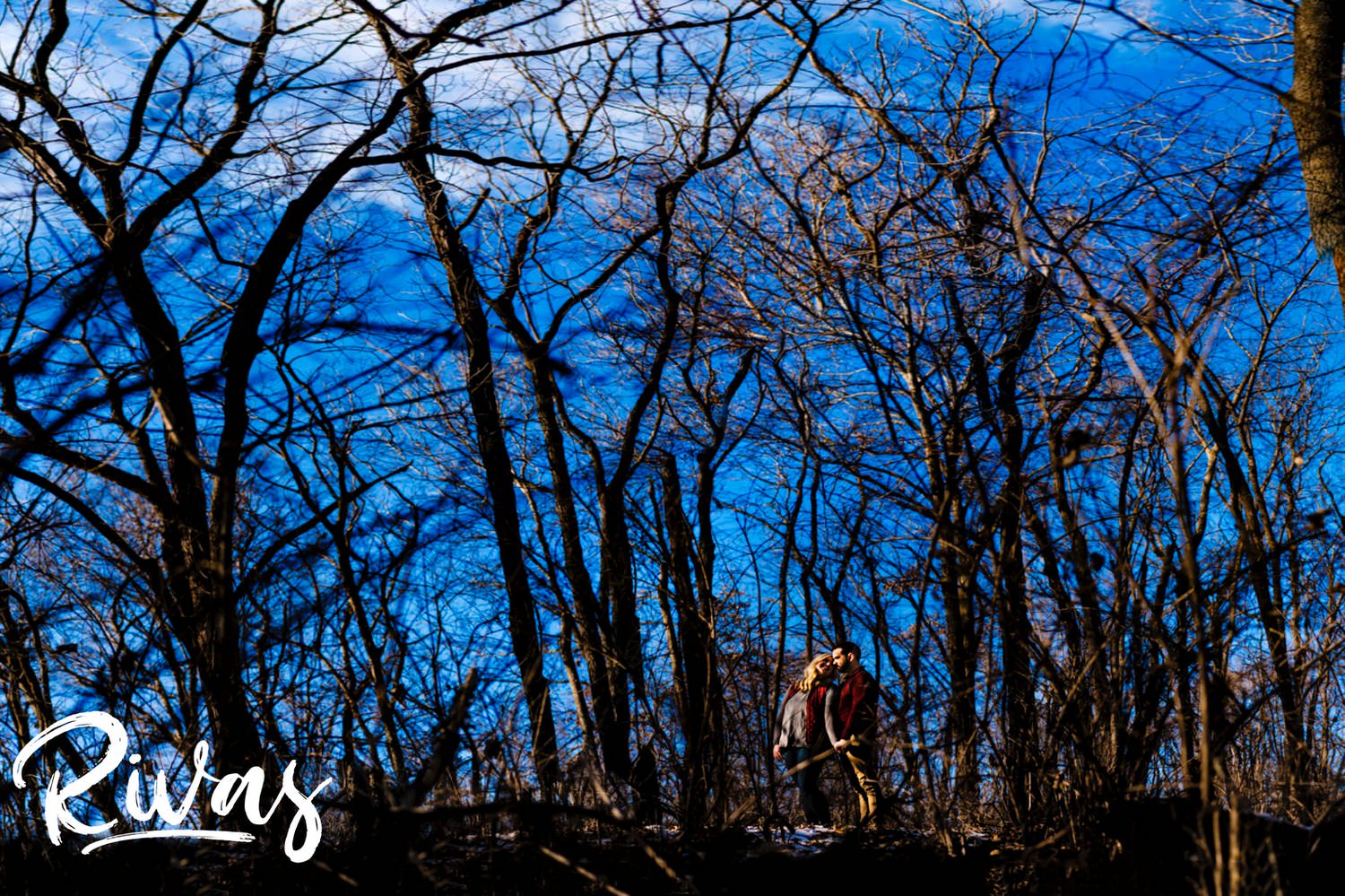 A wide silhouette picture of an engaged couple standing in a spot of sunlight shining through a forest during their vibrant engagement session in Kansas City. 