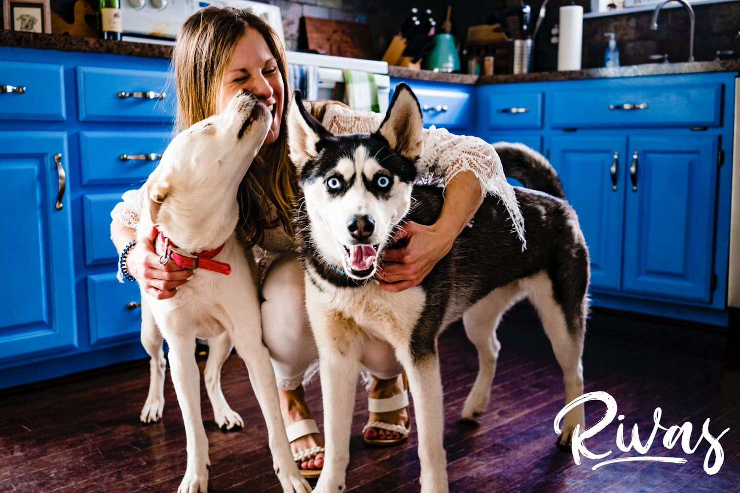 A candid picture of a woman in a white lacy robe hugging her two dogs in her kitchen on the morning of her winter wedding in Kansas City. 