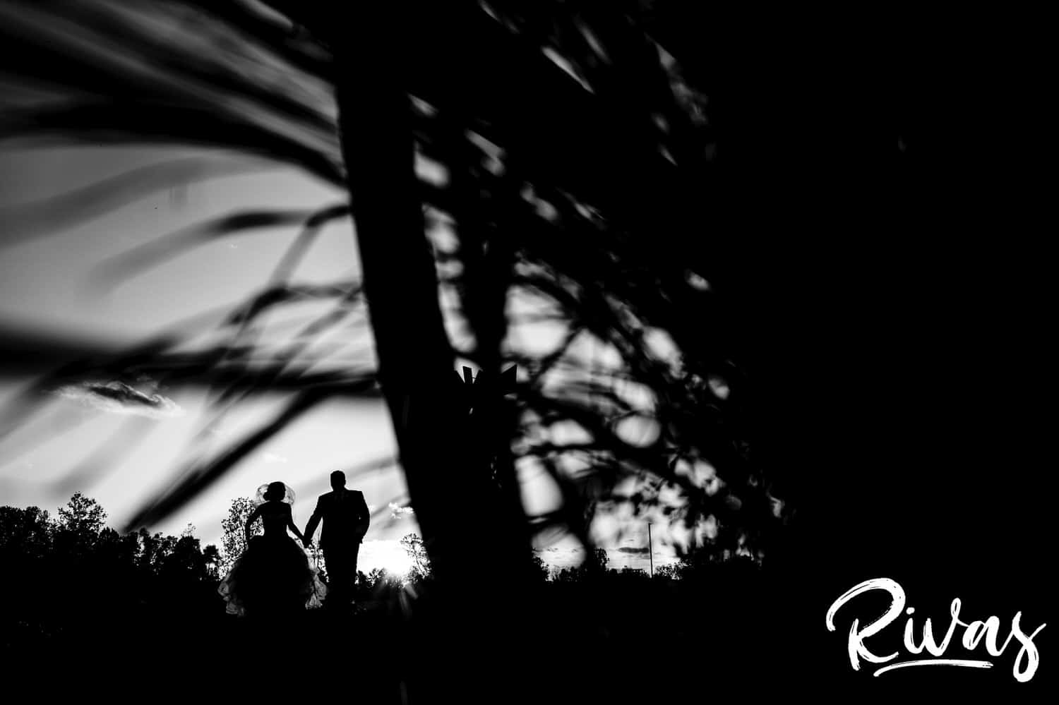 A black and white portrait taken through some tall grass of a bride and groom holding hands and walking towards the camera on their fall wedding day at Piazza Messina. 