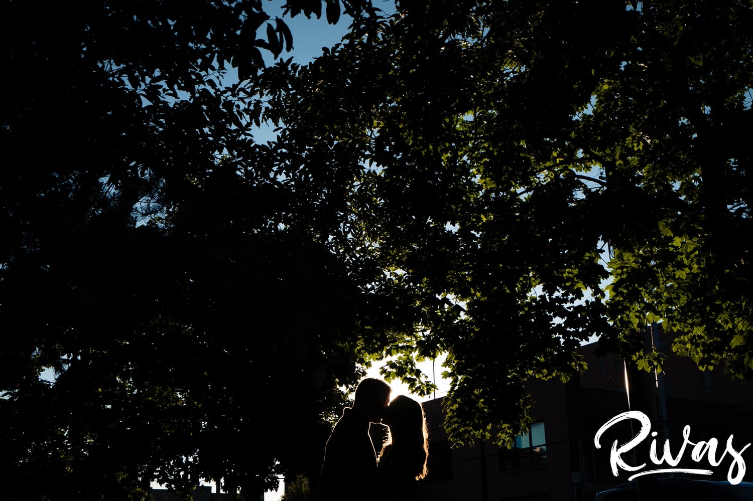 A bright, colorful, abstract picture of the silhouette of an engaged couple sharing an embrace against an overwhelming arch of trees in the park in Kansas City's City Market. 