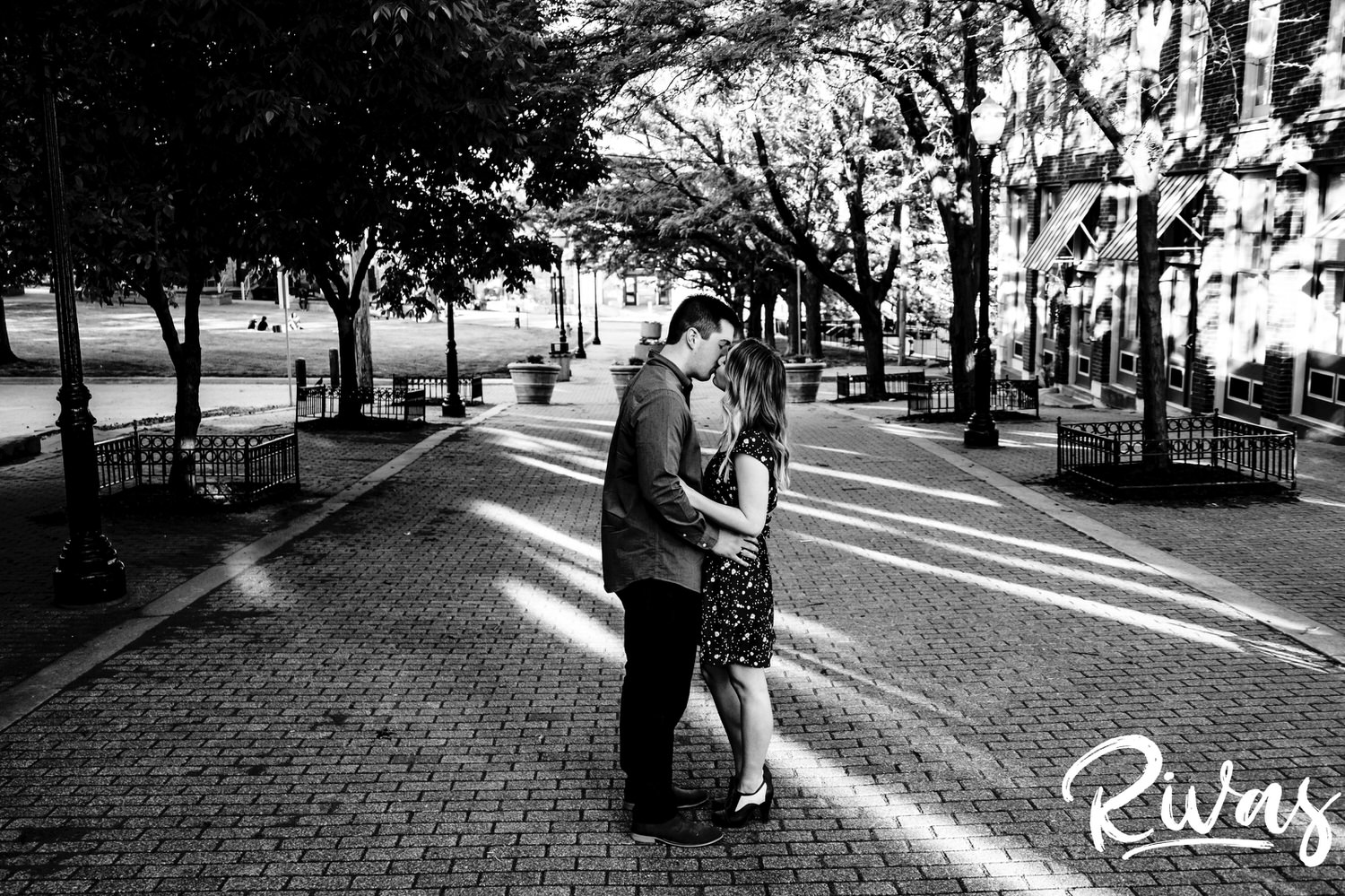 A wide, black and white portrait of an engaged couple sharing an embrace and kiss as they stand underneath an arch of trees in Kansas City's City Market during their summer engagement session. 