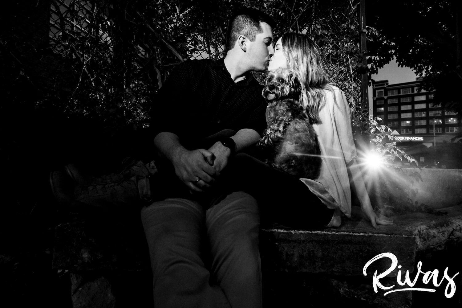 A candid black and white picture of an engaged couple sharing a kiss as their dogs sits on their lap, looking at the camera during a summer Kansas City engagement session. 