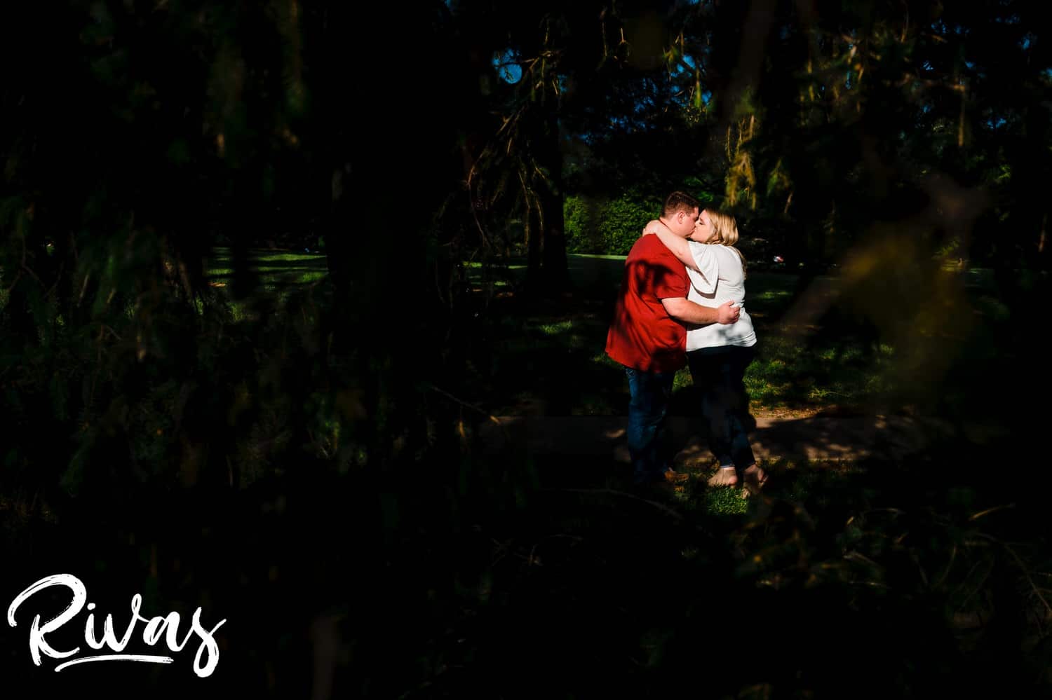 A vibrant portrait of an engaged couple sharing an embrace in a splash of sunlight amongst a canopy of dark trees during their engagement photography session at Loose Park in Kansas City. 