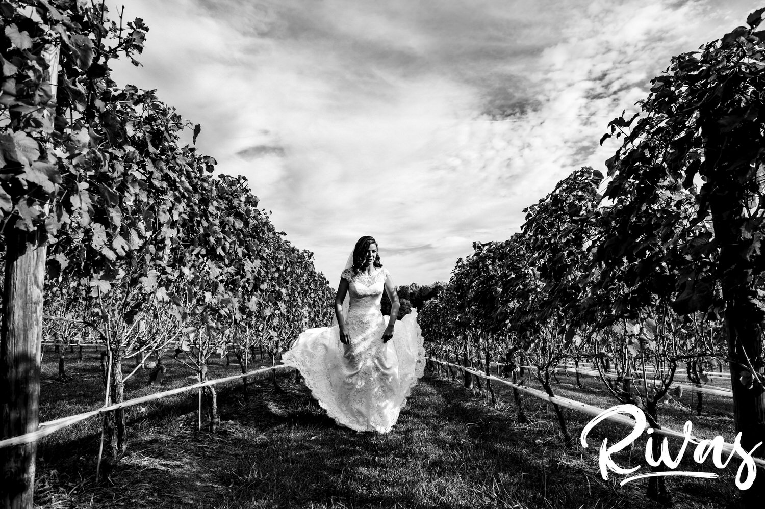 A candid black and white picture of a bride's gown blowing in the wind as she stands in the middle of a vineyard on her fall wedding day in Virginia. 