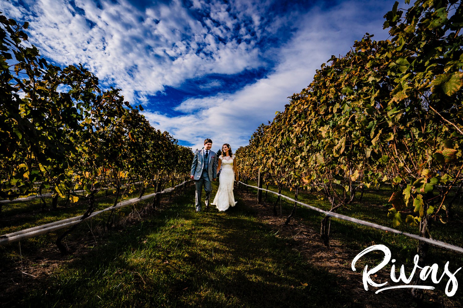 A colorful, candid picture of a bride and groom holding hands, walking down an aisle in a vineyard on their fall wedding day at Hamilton Station Vineyard. 