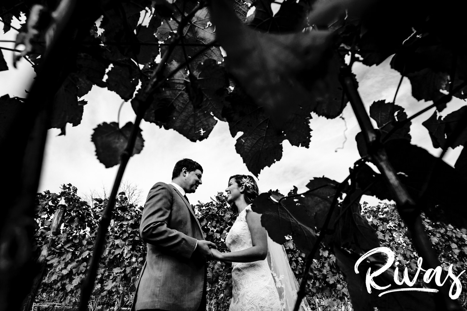 A dramatic black and white picture taken through a row of grape leaves of a bride and groom sharing an embrace during their first look on their fall afternoon wedding day at The Barns at Hamilton Station Vineyard. 